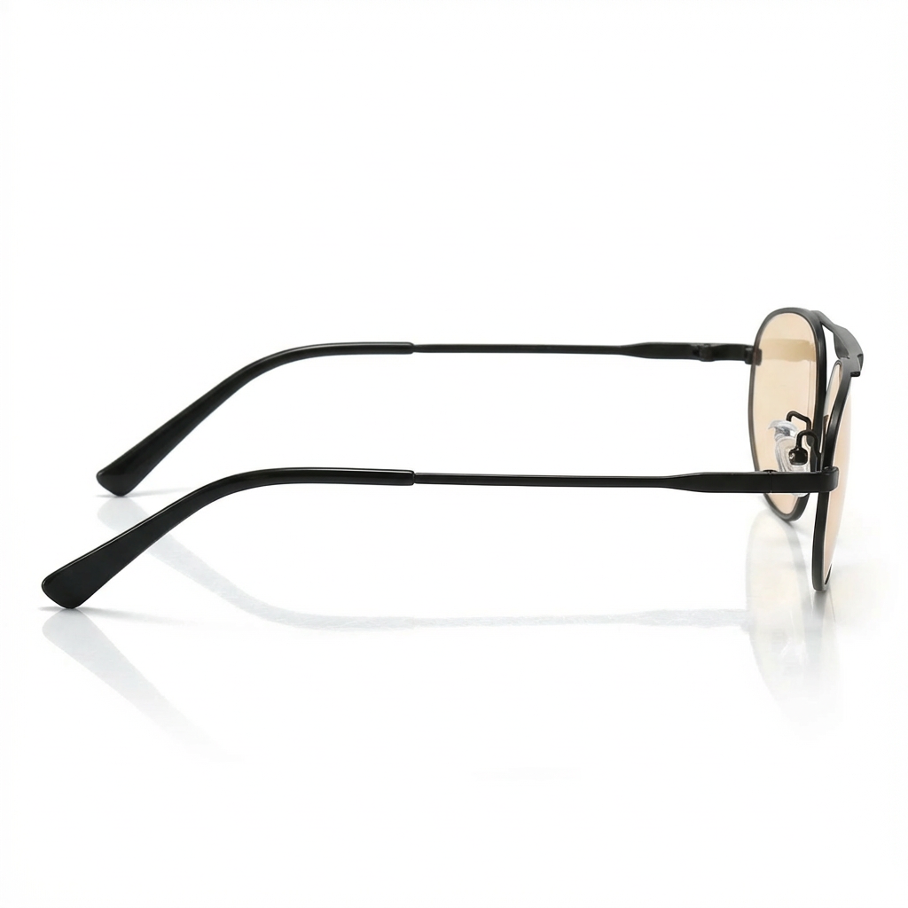 Émile Noir Sunglasses