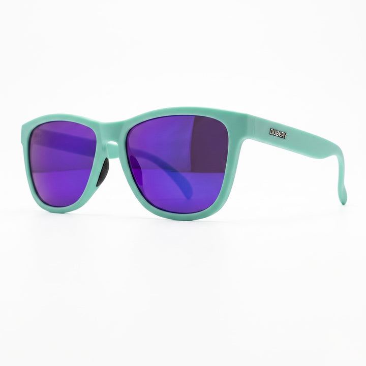 Reef Wayfarer Polarized Sunglasses for Beach & Travel